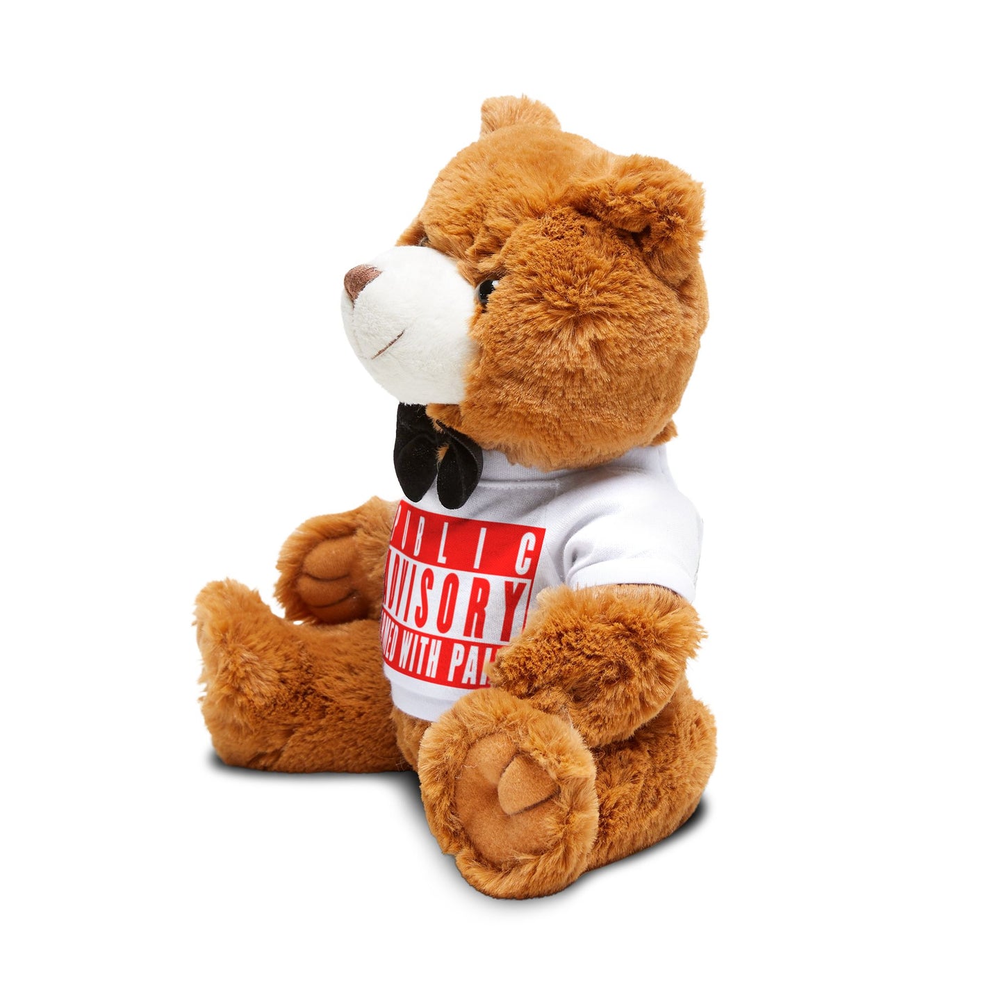 Armed With Pain “Public Advisory” Teddy Bear