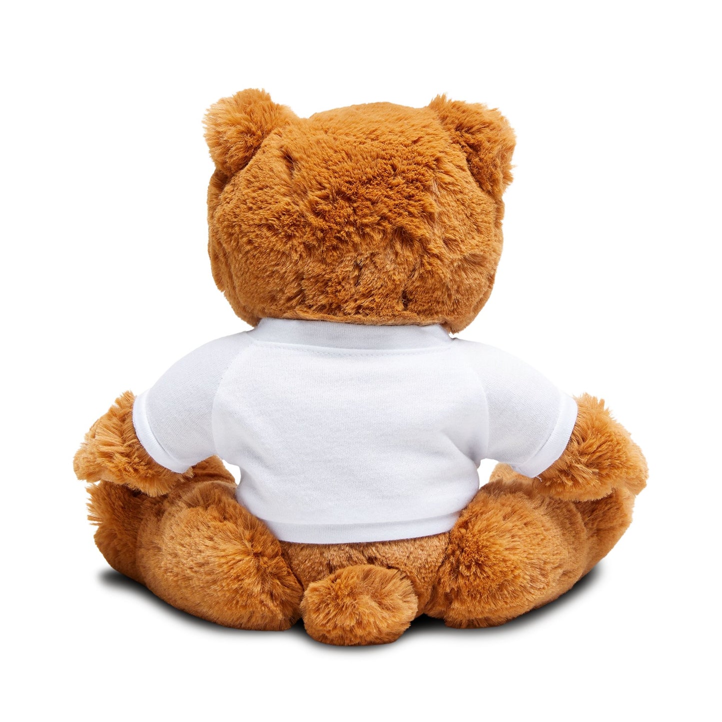 Armed With Pain “Public Advisory” Teddy Bear